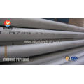 Duplex Stainless Steel Tube ASTM A789 S32205